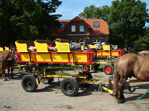 Wattwagen 010