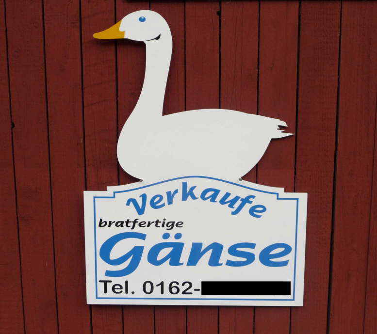 Gnse