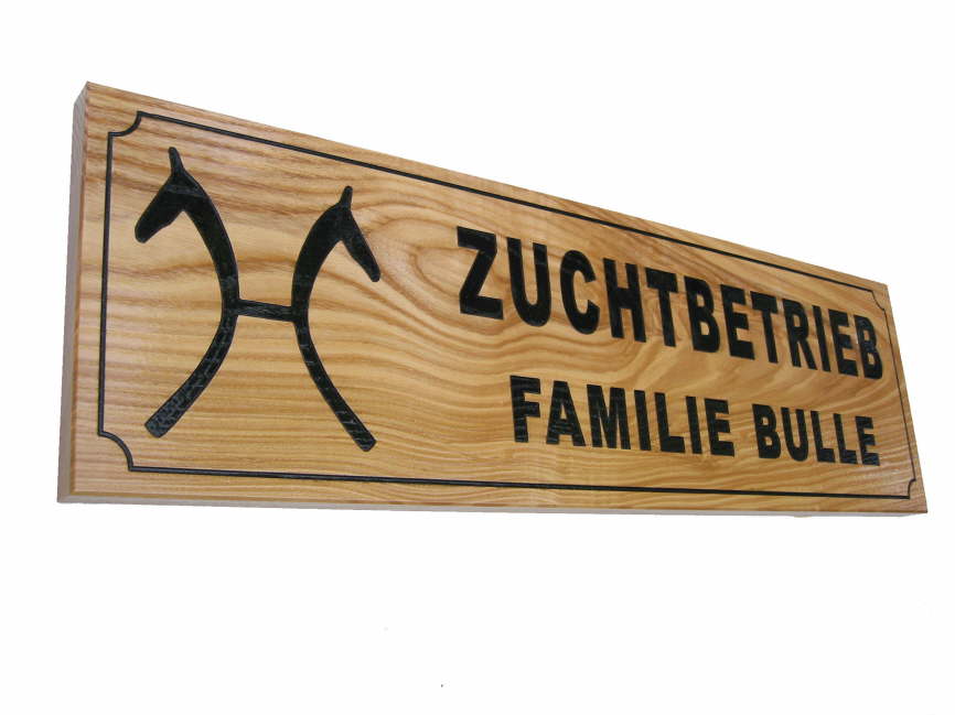 Zuchtbetrieb-Bulle
